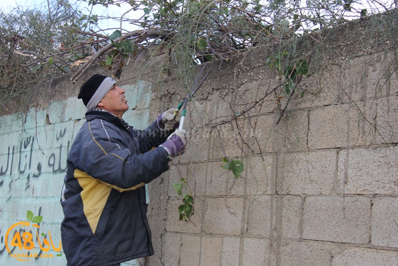 taso mashro3 tandaef (61).JPG